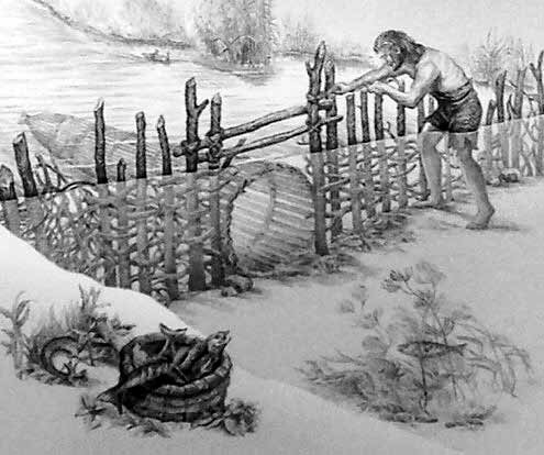 Artists impression of Neolithic fish traps made of upright posts